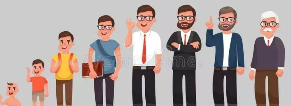 论制药行业的生命周期